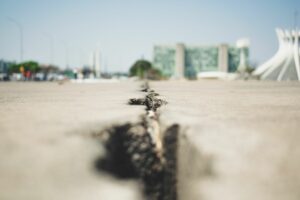 Sustentabilidade no setor de seguros